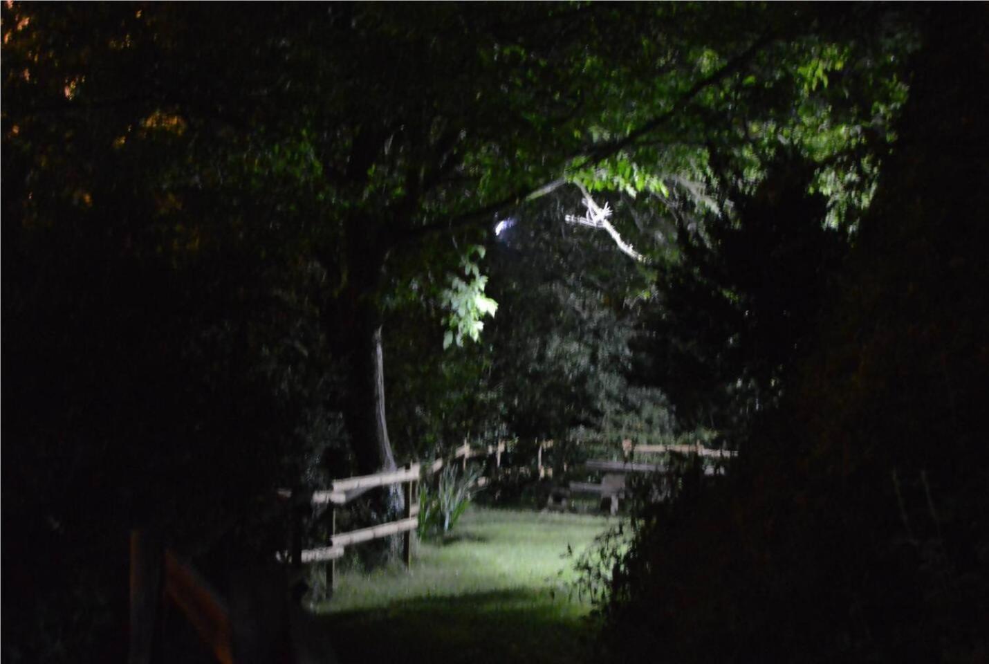 El Cajigar Ordesa Ainsa Casa Rural Laspuña Exterior foto